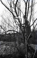 1900-1907 ca CHRISSY CROIL (m. Vlasto) PHOTOGRAPHS OF CROIL AND MITCHELL FAMILY Unidentified girl in or near Milwaukee or the St Lawrence River near Montreal